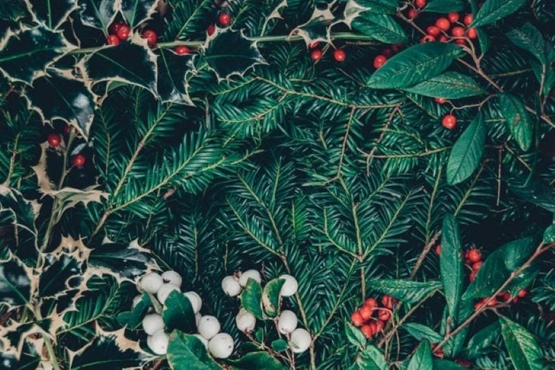Bring Joy to Any Room: How to Choose the Best 6-Foot Artificial Christmas Tree