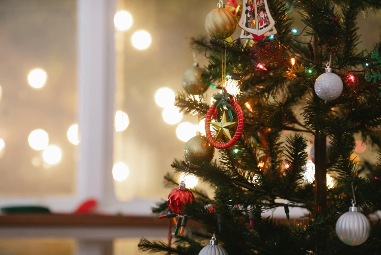 The Charm of Flocked Christmas Trees