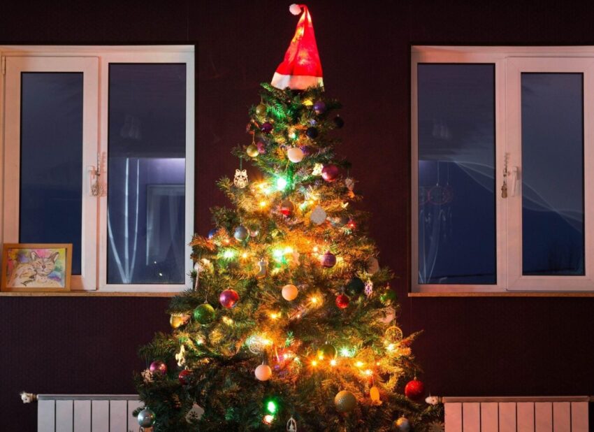 lit Christmas tree against the backdrop of the house